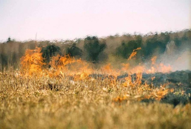 В Астраханской области ожидается чрезвычайная пожароопасность